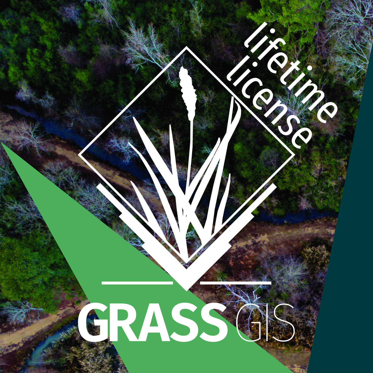 GRASS GIS logo