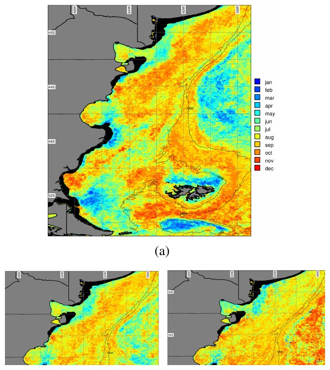 Month of maximum chlorophyll-a concentration in the Argentine continental shelf from MODIS/Aqua data.