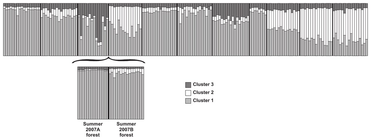 Bayesian cluster analysis of multilocus microsatellite genotypes of *Oligoryzomys longicaudatus*.