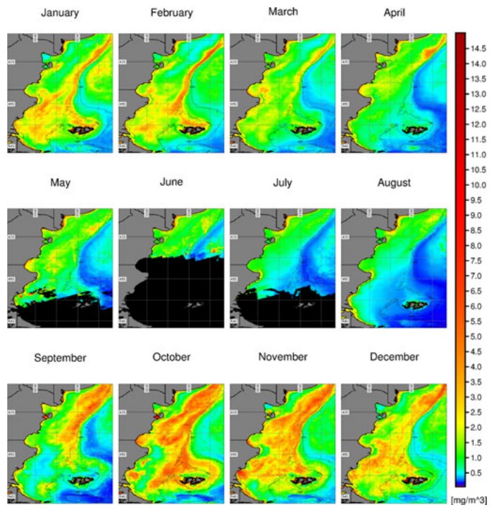 Monthly climatology of chlorophyll-a concentration in the Argentine continental shelf from MODIS/Aqua.