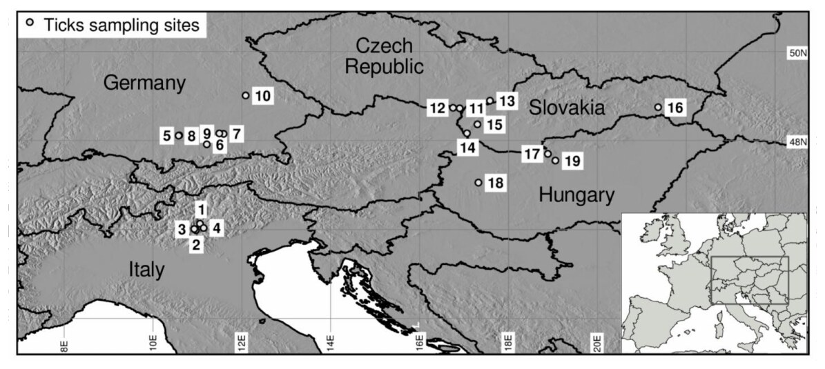 Map of the 19 tick sampling sites in Italy, Germany, the Czech Republic, Slovakia and Hungary.