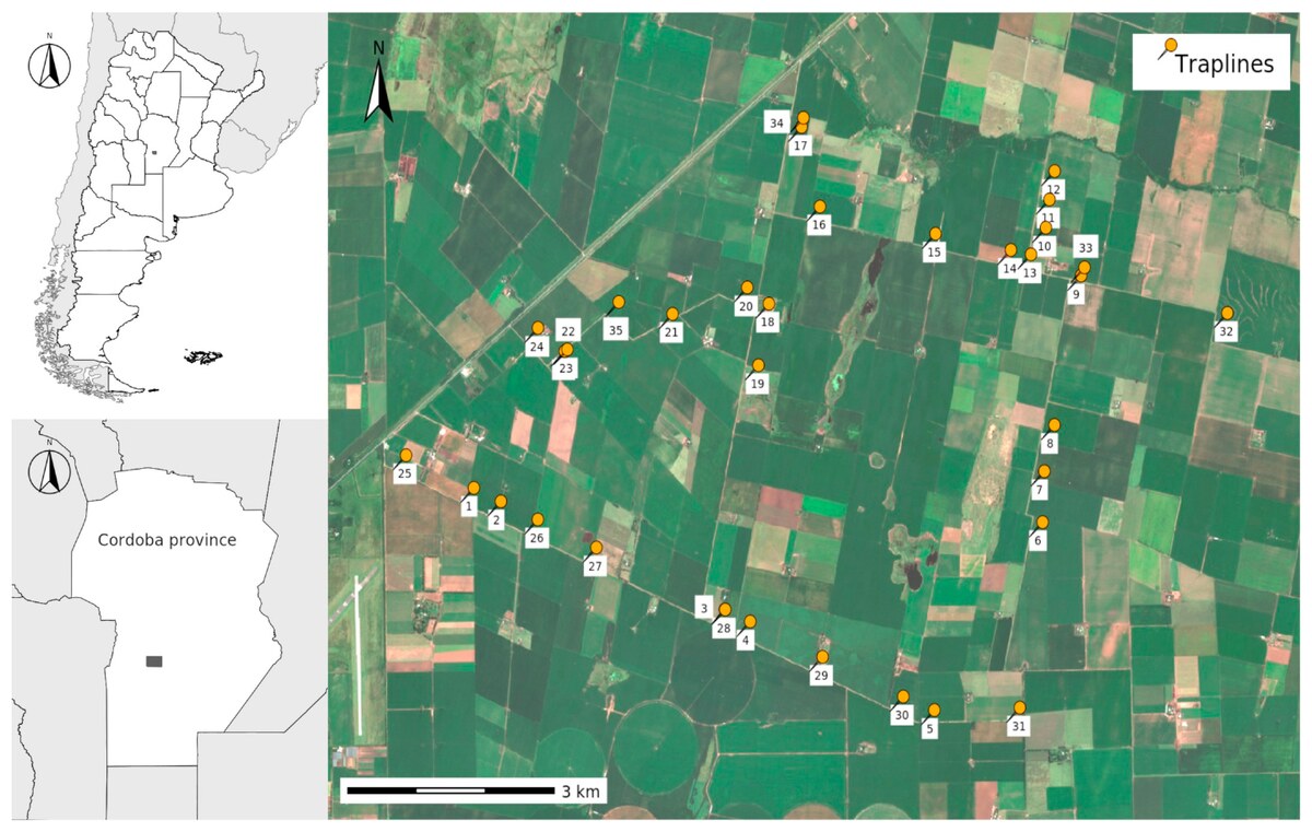 Study area in central Argentina with the rodent traplines over a high resolution satellite image.