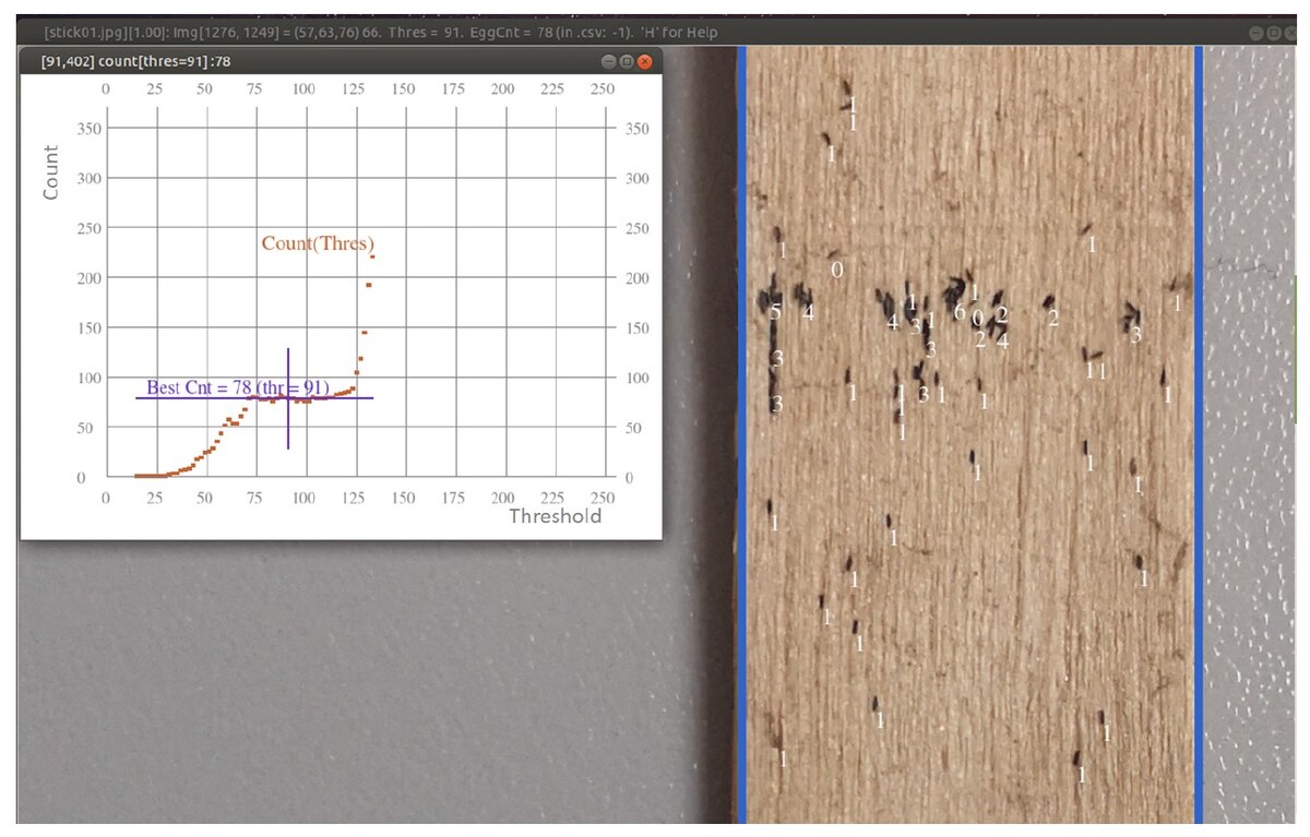 Interface of the semi-automatic egg counting tool, showing an ovitrap stick image and the count confidence curve.