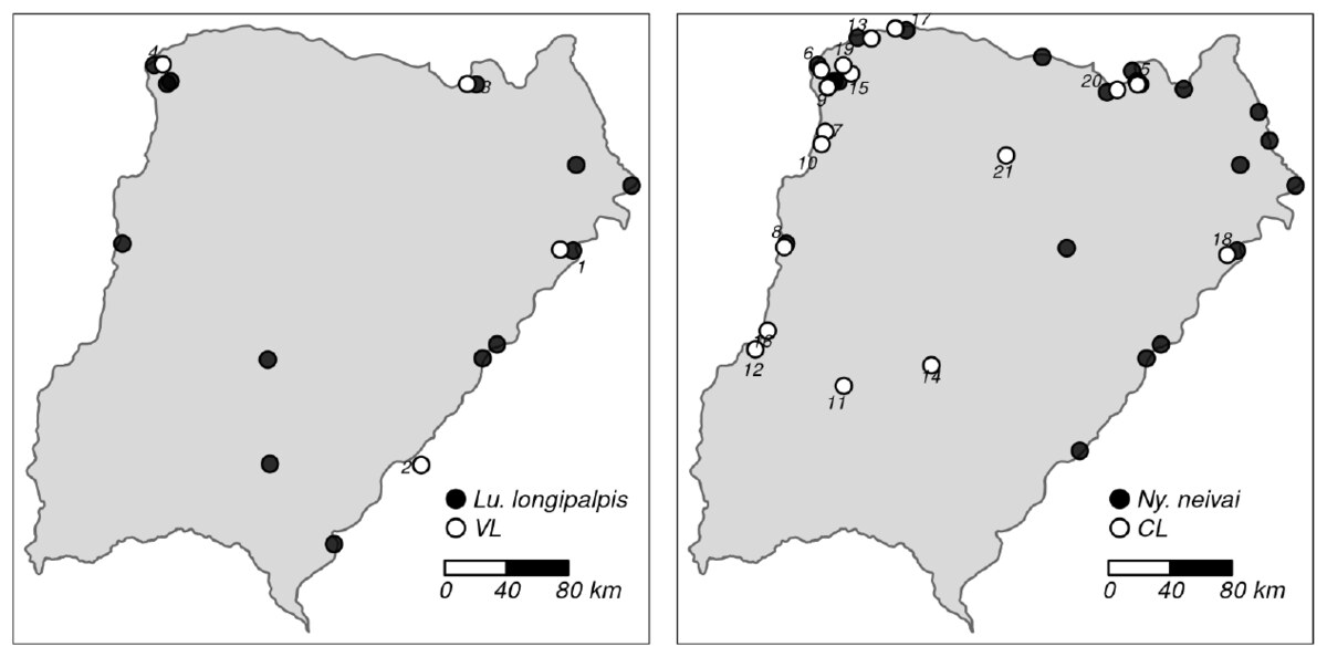 Distribution of *Lutzomyia longipalpis* and *Nyssomyia neivai* and of human cases of leishmaniasis in Corrientes Province, Argentina.