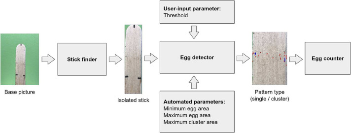 Main components of the egg counting algorithm that is included within Ovitrap Monitor.