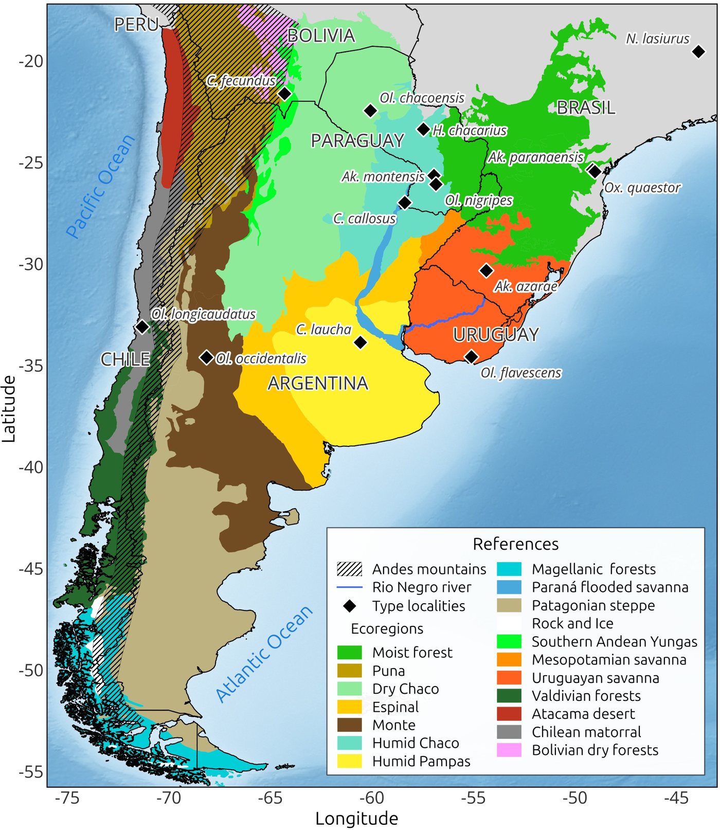 Type localities of orthohantavirus reservoir hosts detected in Southern South America.