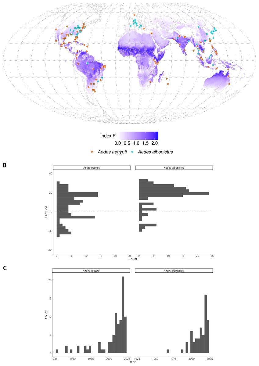 Global map of the *Aedes* index P and summary of the trait records included in the dataset.